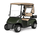 Shop 2-Passenger Golf Carts in Trenton, GA